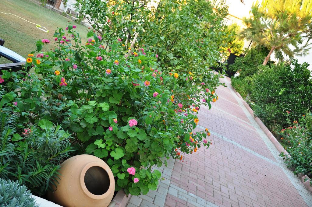 Mursel Garden Hotel Kusadası Zewnętrze zdjęcie